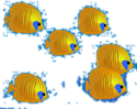 goldFishSchool